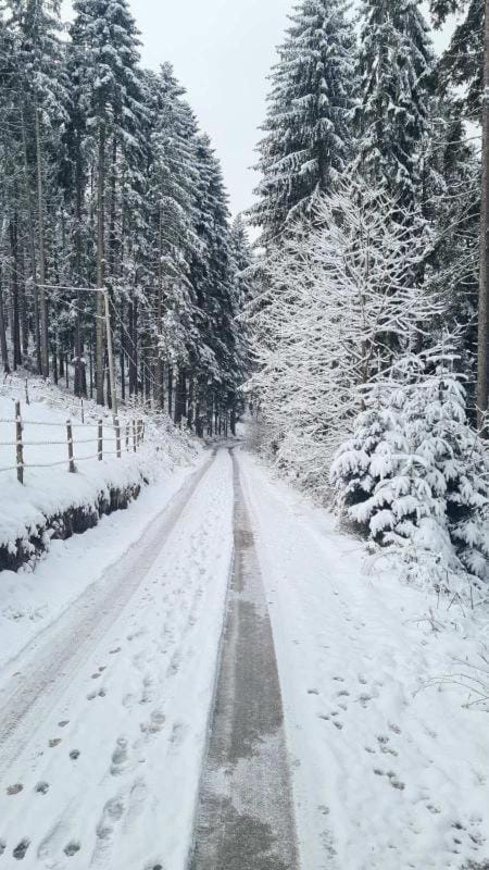 Apartman Popadić Apartment in Zlatibor District, Serbia