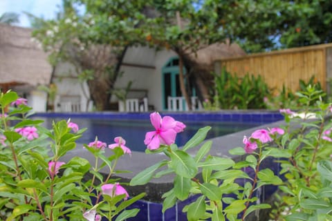 Garden, Swimming pool