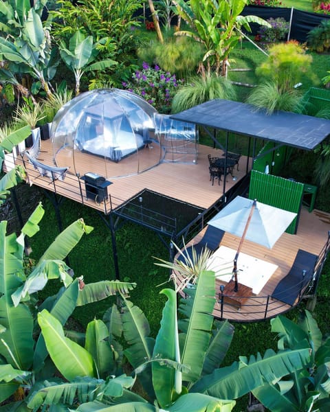 Garden view
