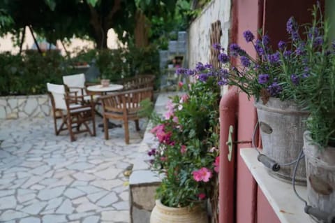 Patio, Garden, Garden view