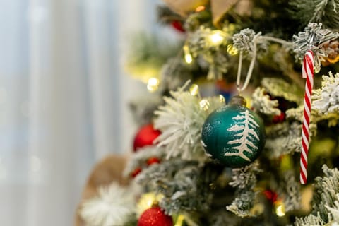 Zlatibor Apartmani Kum Apartment in Zlatibor