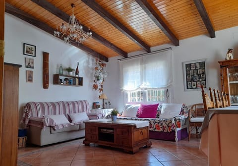 Living room, Dining area, air conditioner