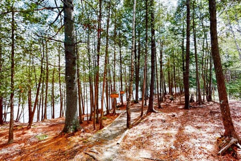 Birch Overlook House in Beaver Cove
