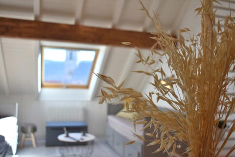 Charmant studio, le petit gris des montagnes Apartment in Canton of Vaud