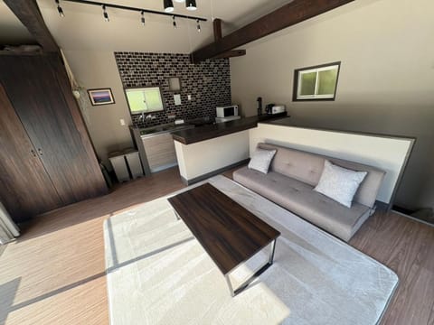 Living room, Seating area, kitchen
