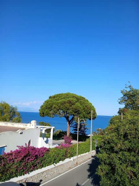 Amici di Villa Point Intera Villa Villa in Abruzzo