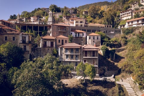 Property building, Neighbourhood, Location