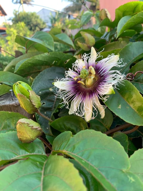 Pousada Reserva de Itaúna Bed and Breakfast in Saquarema