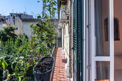 Property building, Garden view