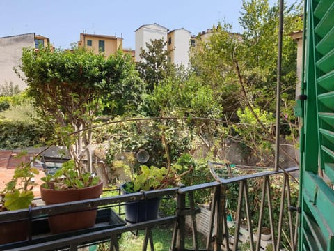 Balcony/Terrace, Garden view