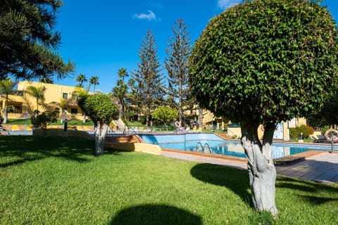 Garden, Pool view, Swimming pool
