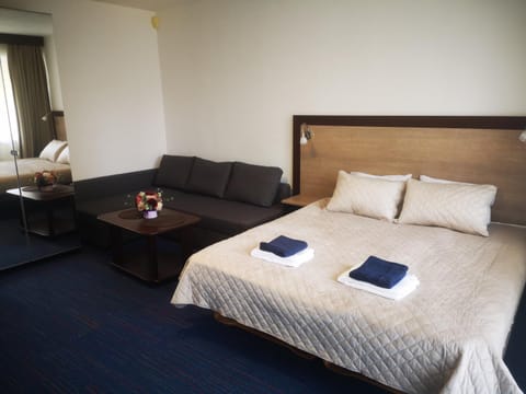 Amber Studio Apartment in Palanga