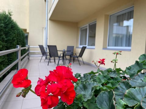 Amber Studio Apartment in Palanga