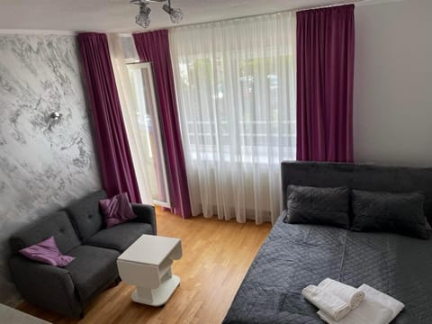 Amber Studio Apartment in Palanga