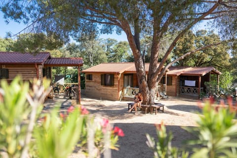 Property building, Garden