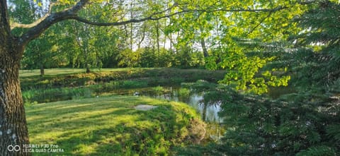 Violin house House in Pomeranian Voivodeship