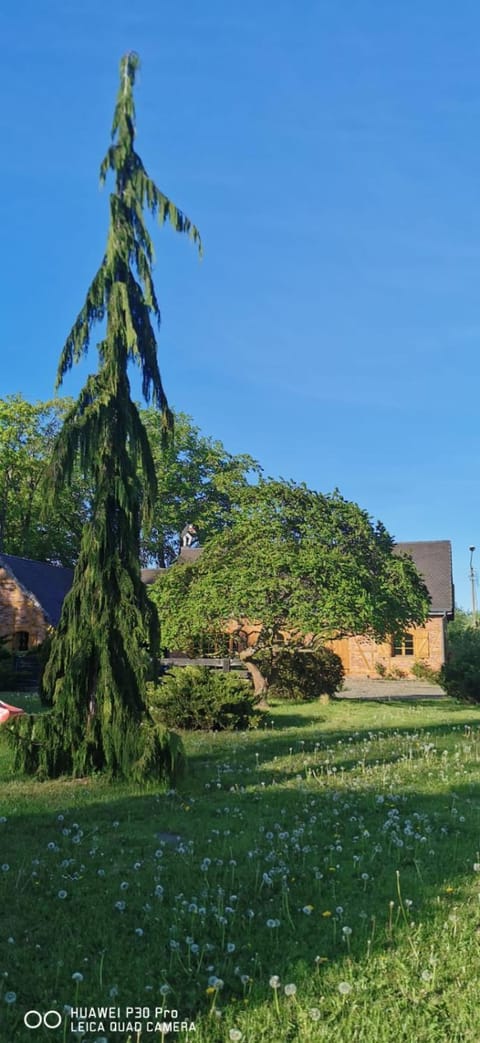 Violin house House in Pomeranian Voivodeship