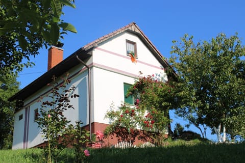 Property building, Garden view