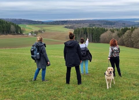 Altes Pfarrhaus Hotel in Trier-Saarburg