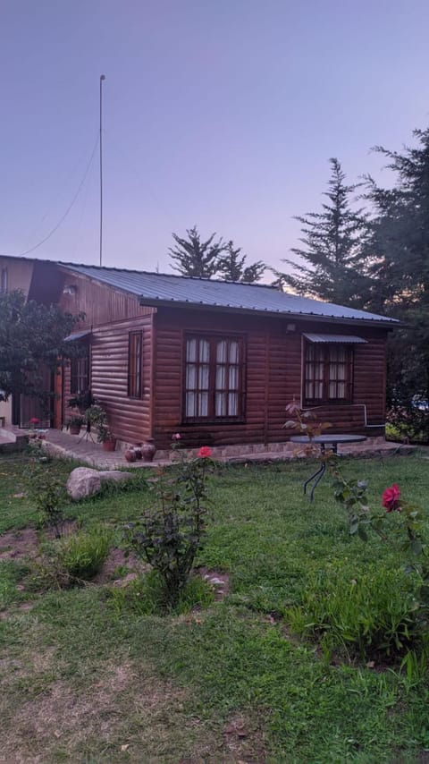 Property building, Garden, Garden view