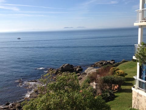 Garden, Sea view