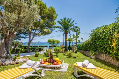 Patio, Garden, Garden view
