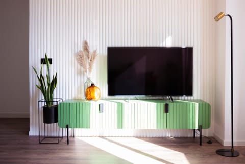 TV and multimedia