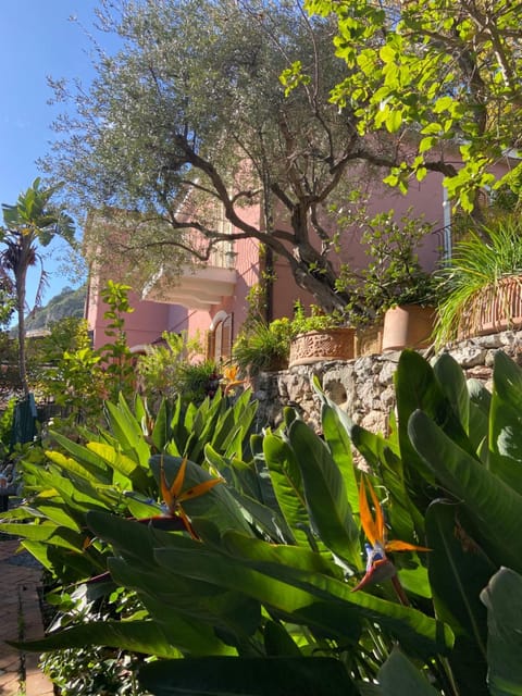 Facade/entrance, Garden