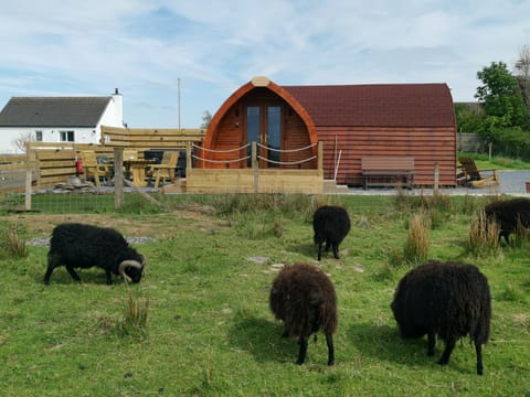 Property building, Animals