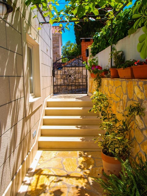 Patio, Summer, Garden, On site