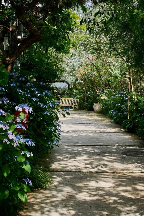 Restaurant/places to eat, Garden
