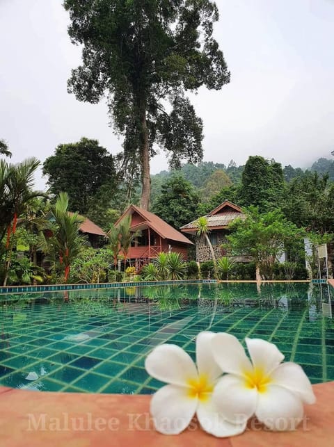 Property building, Garden, Pool view, Swimming pool, Swimming pool
