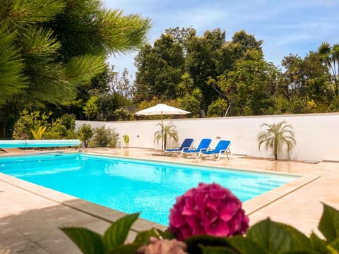 Garden, Garden view, Pool view, Swimming pool, sunbed