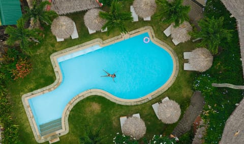 Natural landscape, Bird's eye view, Pool view, Swimming pool, sunbed
