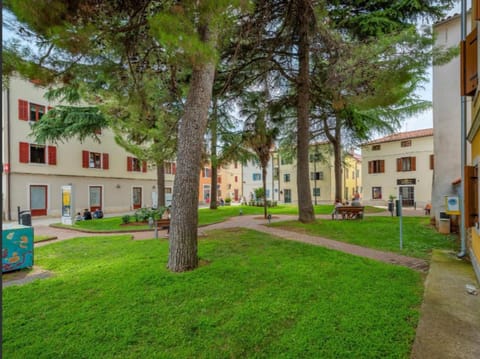 Green Day Apartment in Novigrad