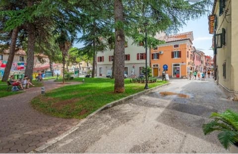 Green Day Apartment in Novigrad