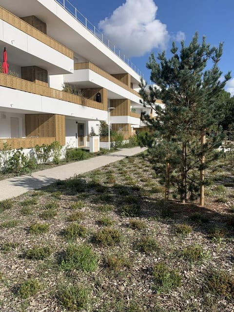 Property building, Spring, Day, Garden