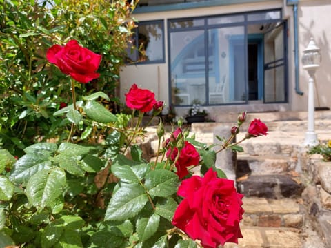 Patio, Facade/entrance