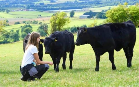 Fox's Den House in Scotland