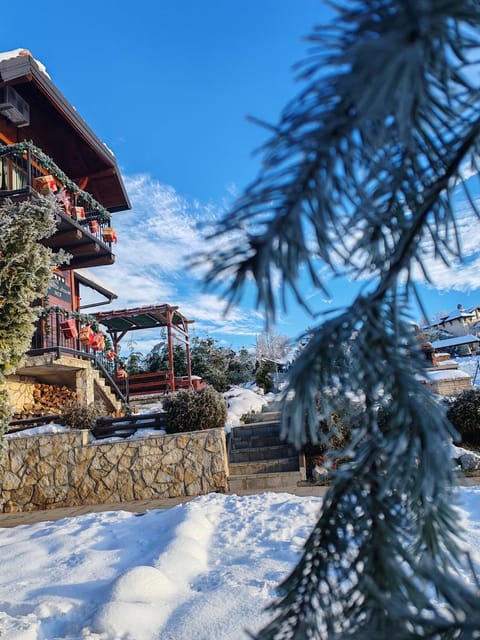 Rustic dream MIA Villa in Zlatibor