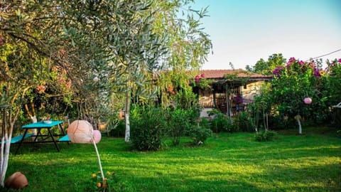 Natural landscape, Garden, Garden view