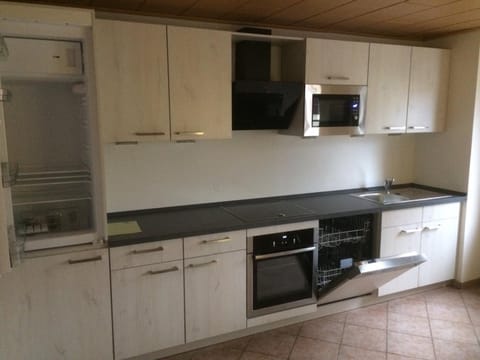 Kitchen or kitchenette, dishwasher, minibar, pet friendly, stove