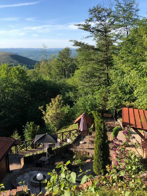 Zlatibor Vila Janjić Apartment in Zlatibor