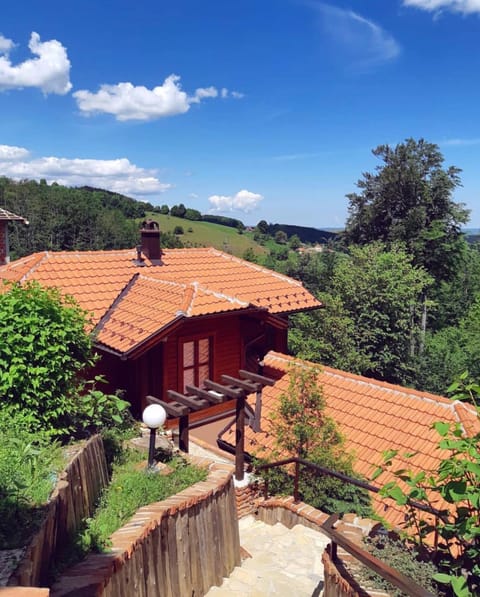 Zlatibor Vila Janjić Apartment in Zlatibor