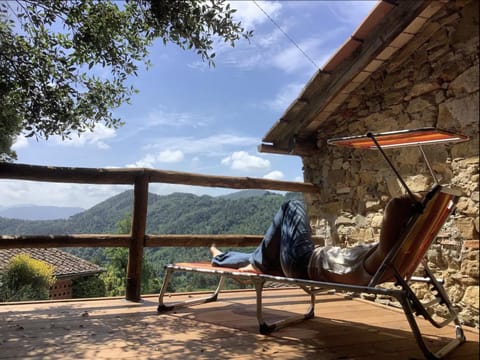 Solarium, Balcony/Terrace, Balcony/Terrace