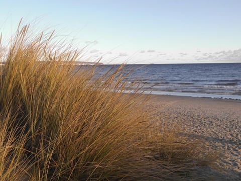 Gardensuite Binz Apartment in Binz