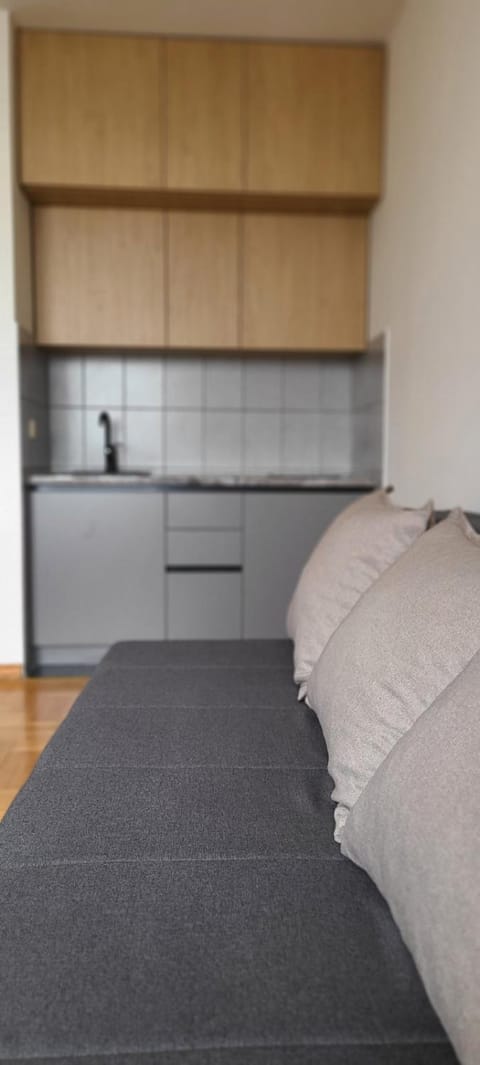 Cozy studio apartment at center of Bijeljina Apartment in Vojvodina