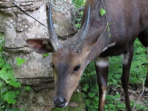 Lake Brenton Paradise House in Knysna