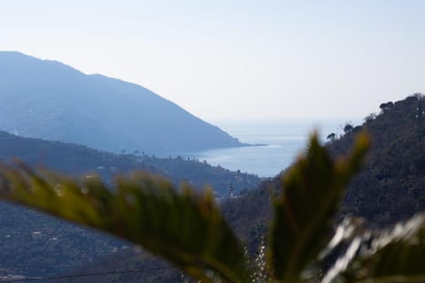 Natural landscape, Hiking, Mountain view, Sea view