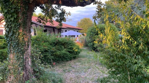 Property building, Garden, Garden view